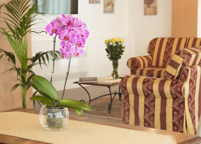 Ae Cavane * Codevigo