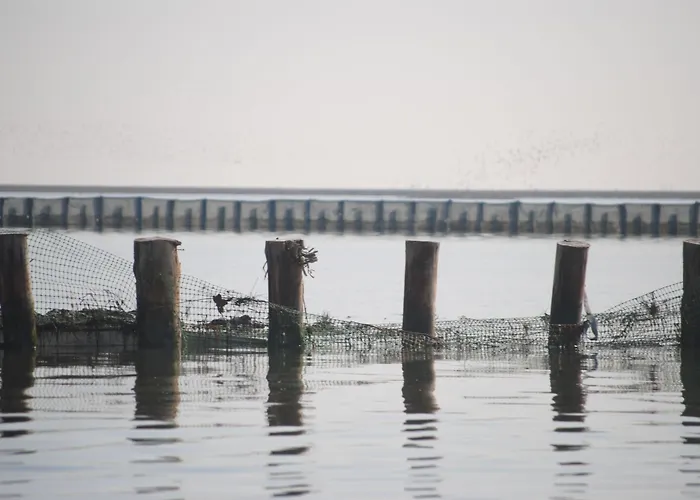 Ae Cavane * Codevigo