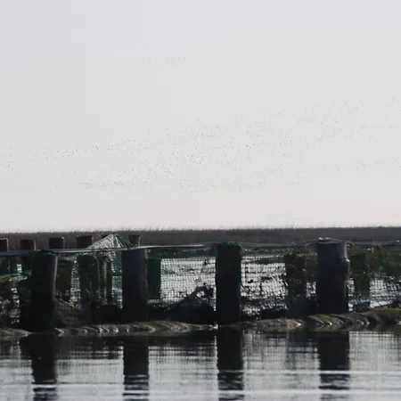 Ae Cavane Çiftlik konaklama *