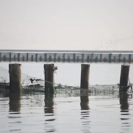 Ae Cavane * Codevigo