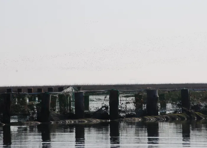 Ae Cavane مزرعة للإقامة *